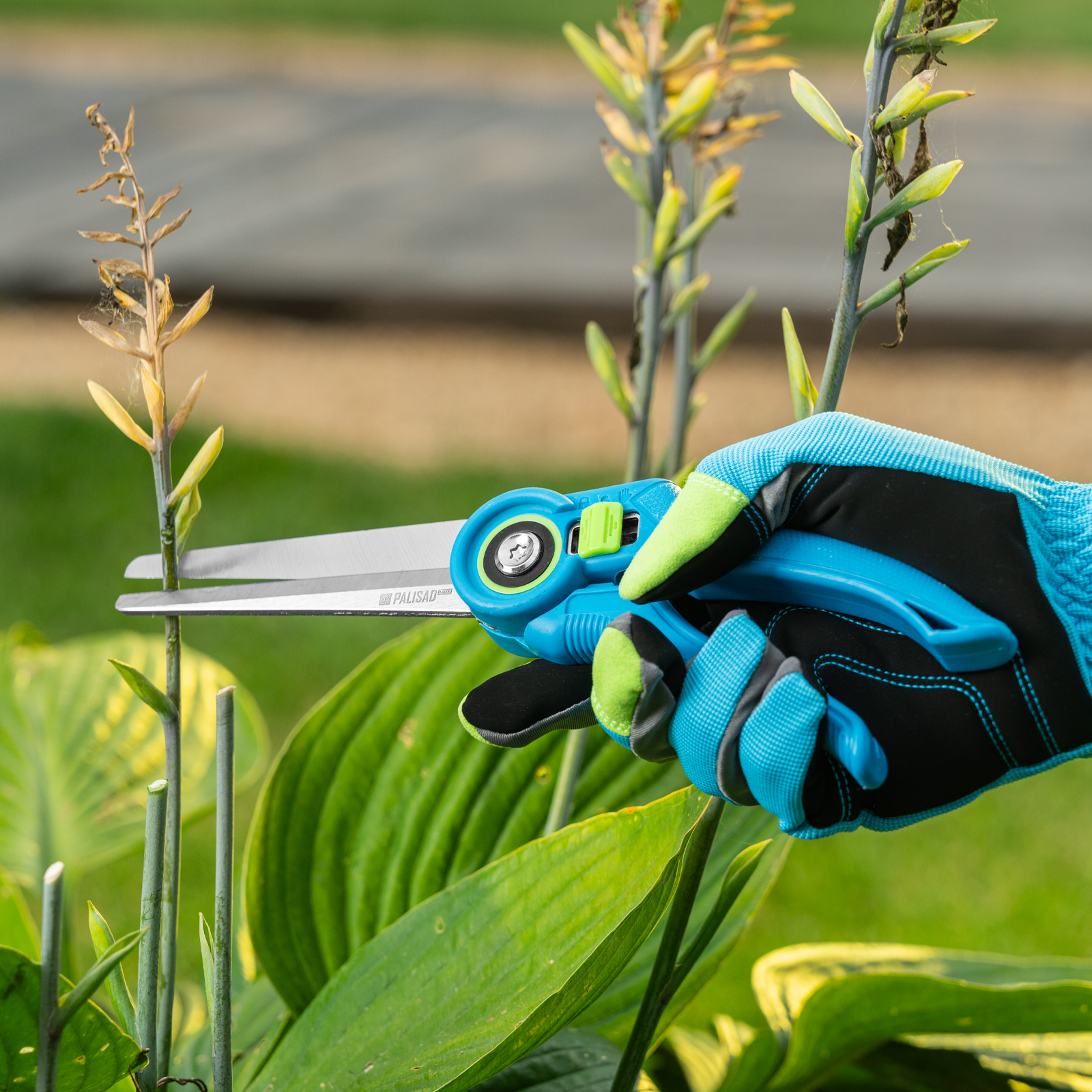 Миниатюра изображения товара 12